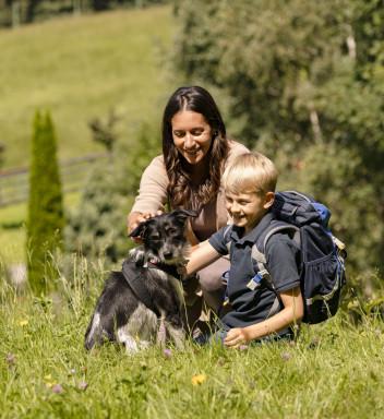 CARD-Ausflugstipps mit Hunden