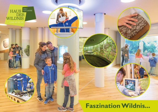 Eine Familie steht in einem Ausstellungsraum. Im Vordergrund sind Kreise mit Bildausschnitten der Ausstellung gezeigt.