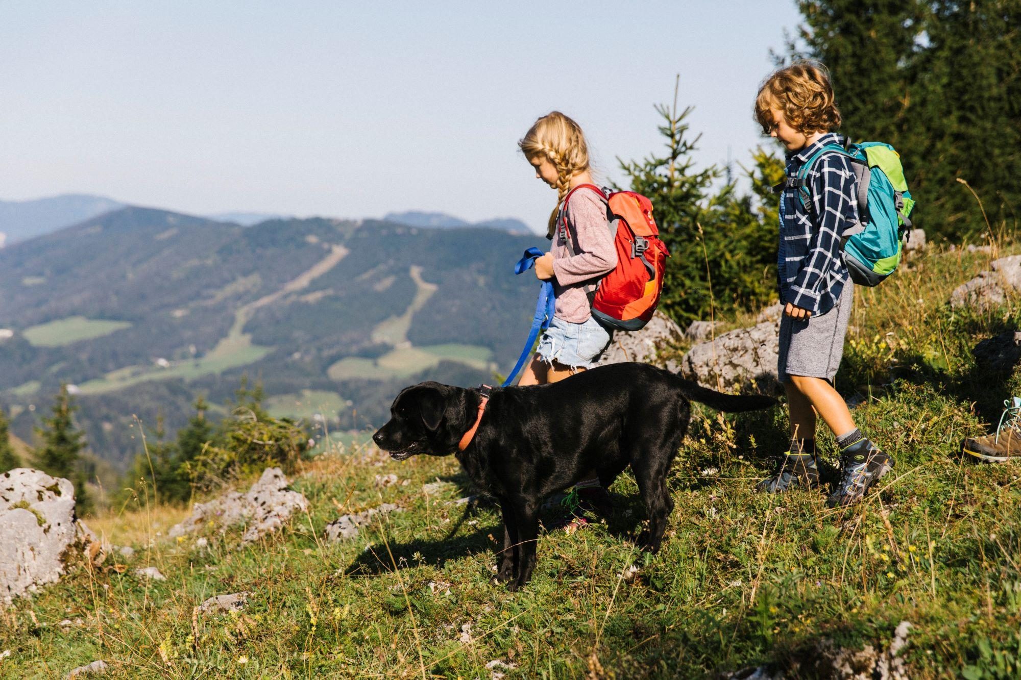 Mit Hund wandern