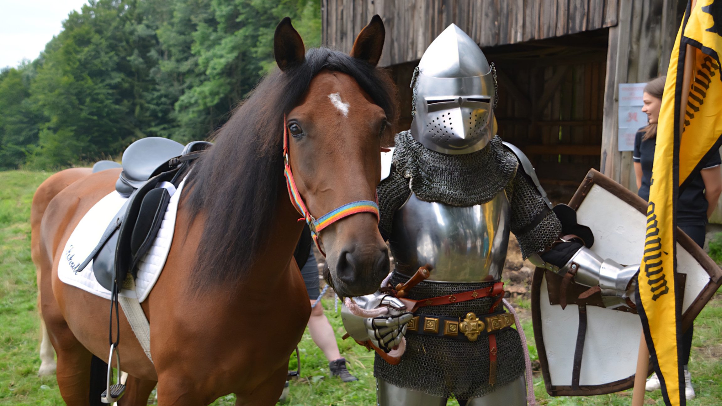 Foto von einer Person in einer Ritterrüstung und einem Pferd.