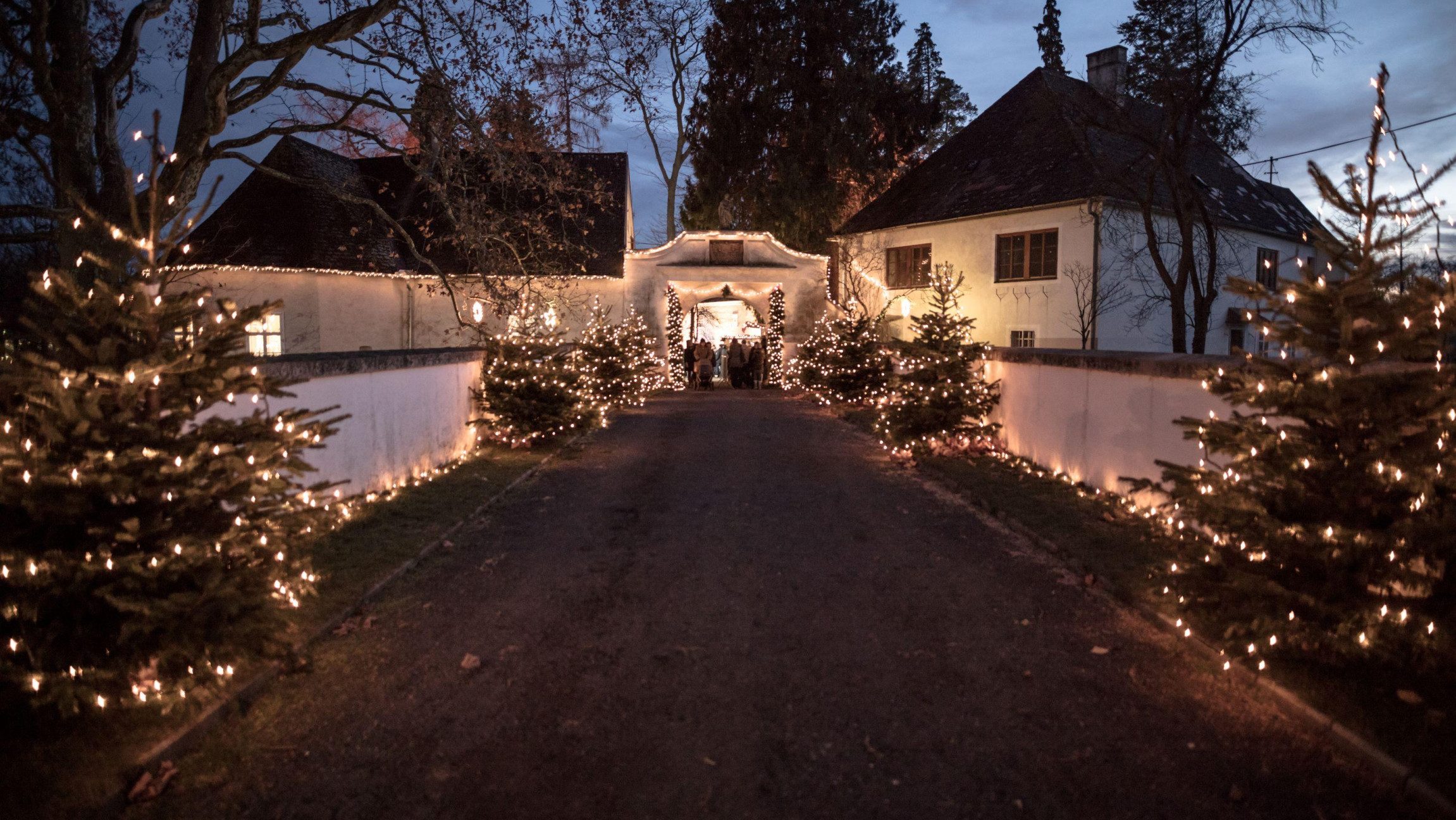 Blick auf einen Gehweg zum Schloss von dem rechts und links mit Lichterketten geschmückte Tannenbäume stehen.