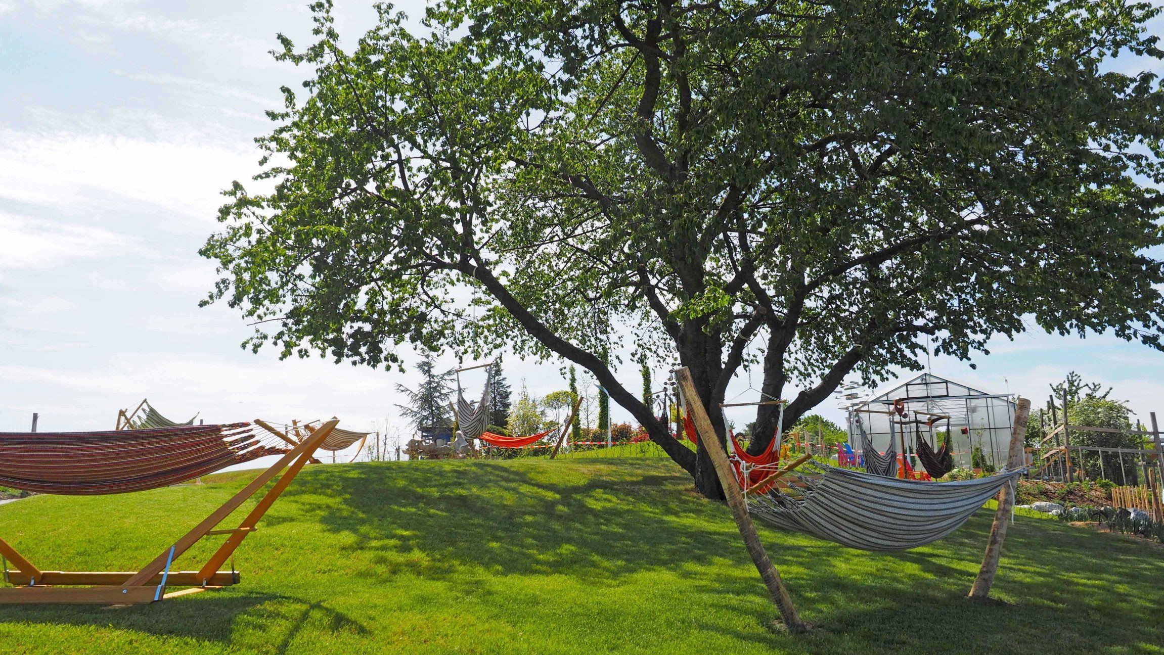 Gemütliche Hängematten unter großen Bäumen.