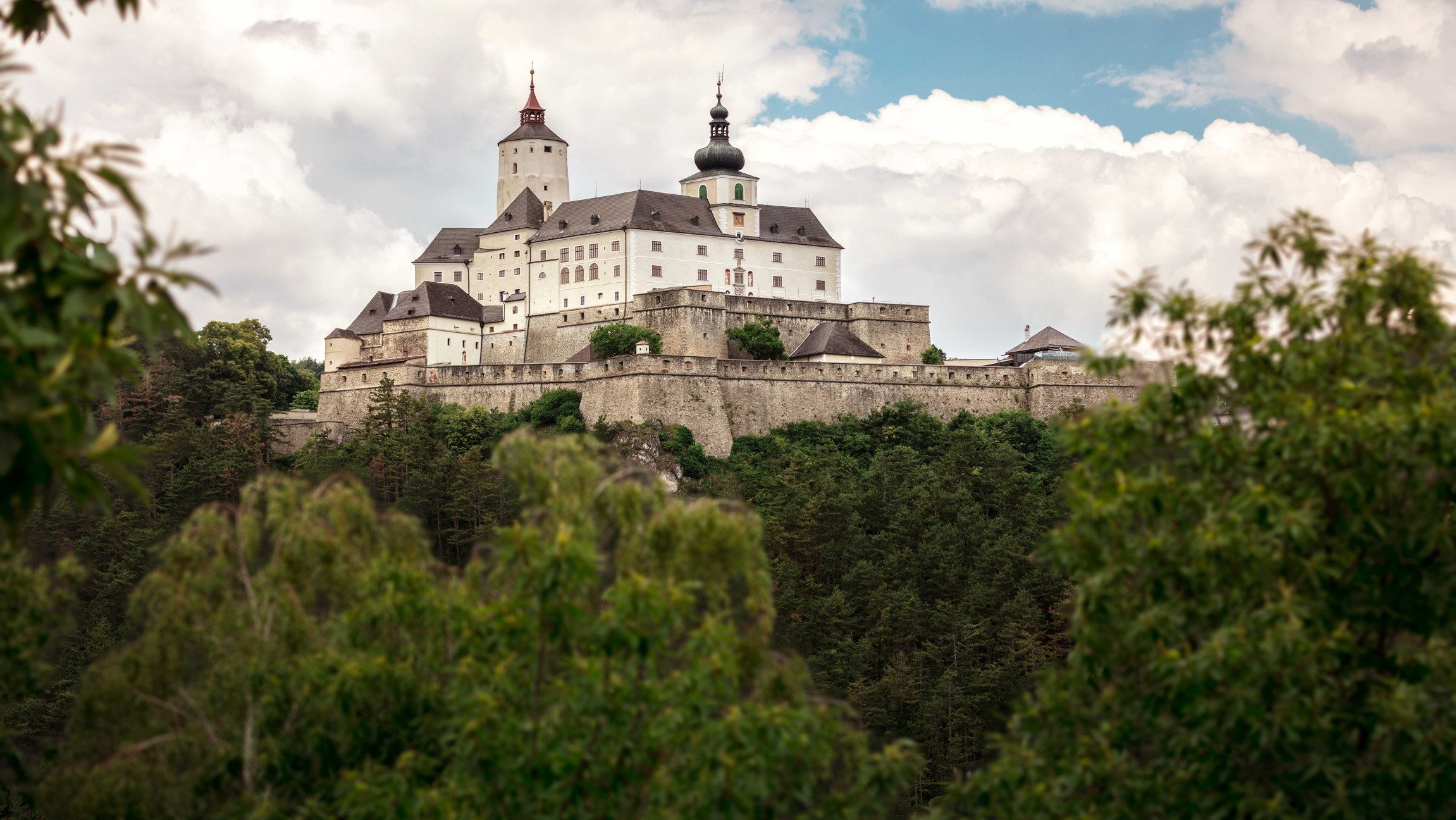 Blick auf die Burg Forchtenstein durch grüne Bäume.