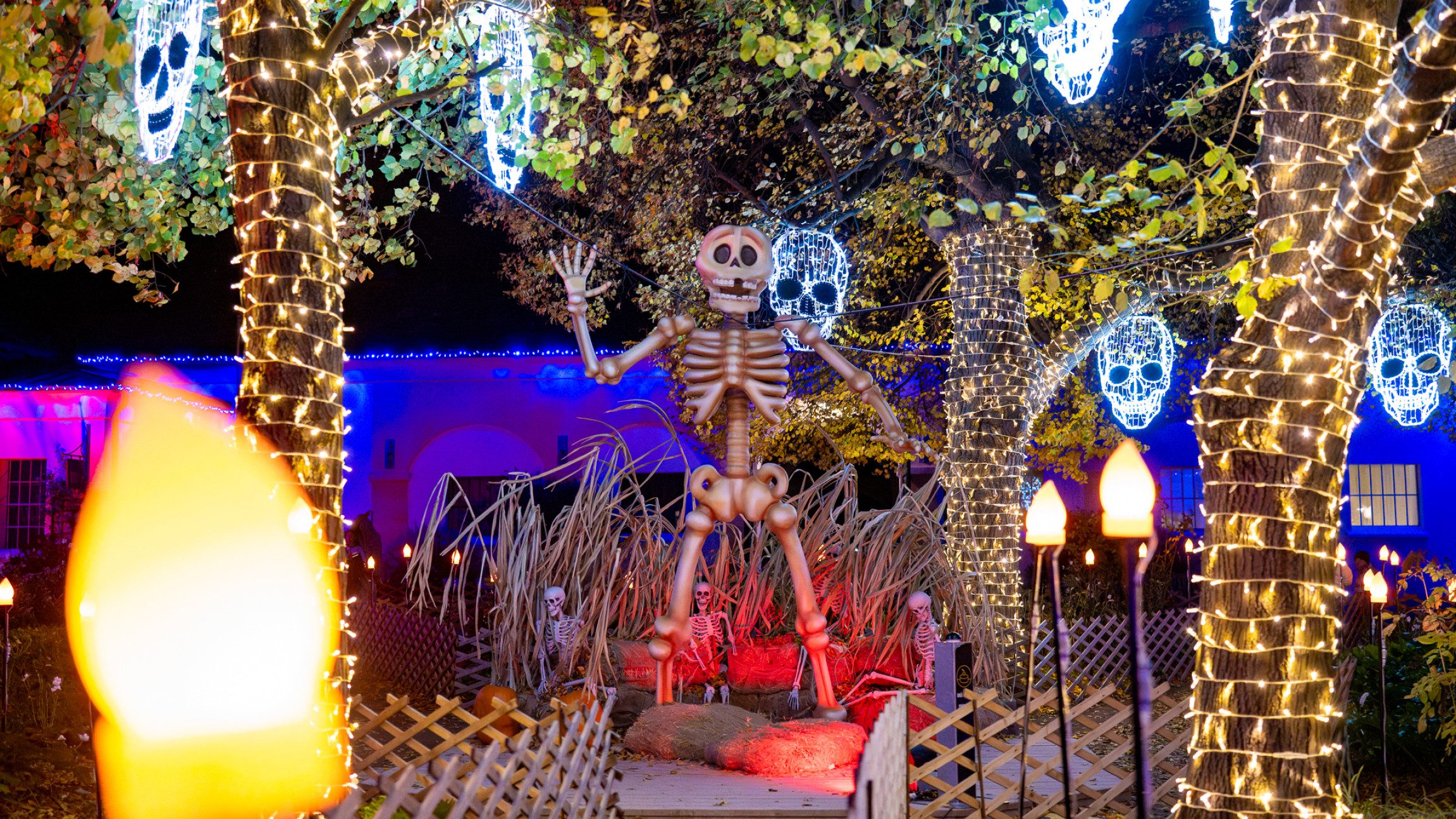 Foto von Halloweendekoration und Beleuchtung.