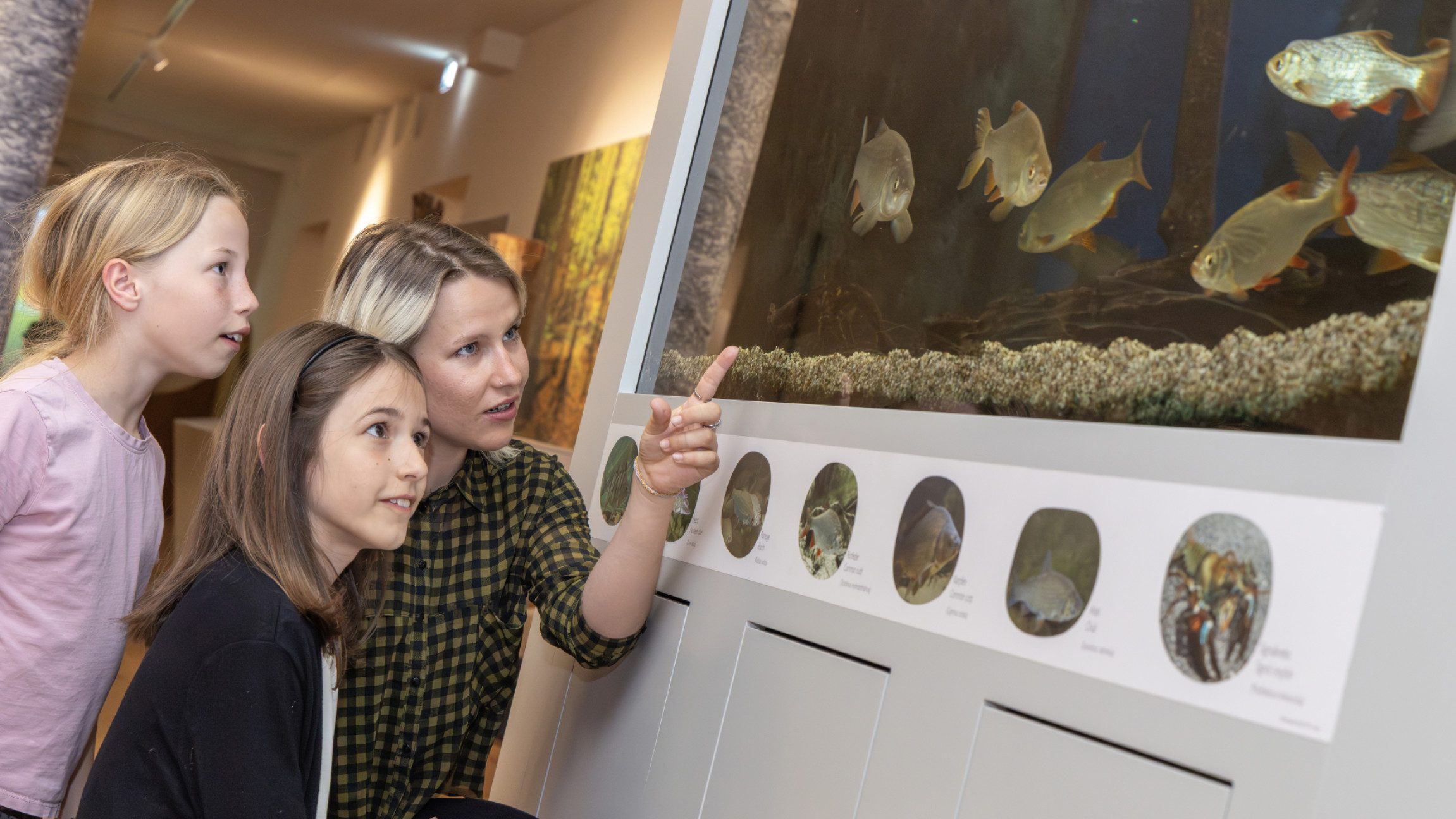 Foto von einer Erwachsenen, die zwei Kindern etwas in einem Aquarium zeigt.