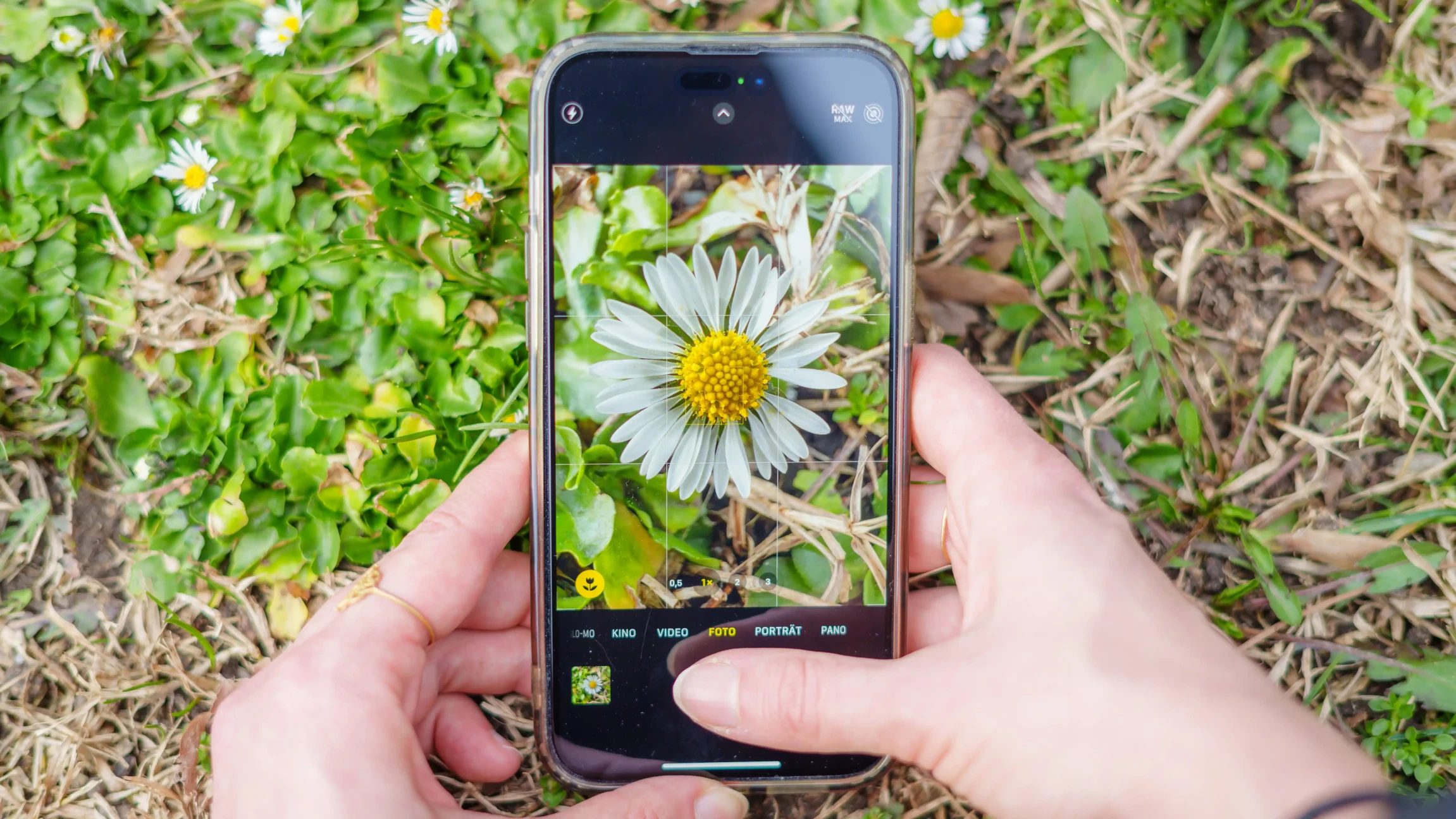 Blick auf Hände, die ein Handy halten. Auf dem Bildschirm ist in der Kamera-App ein Gänseblümchen zu sehen.