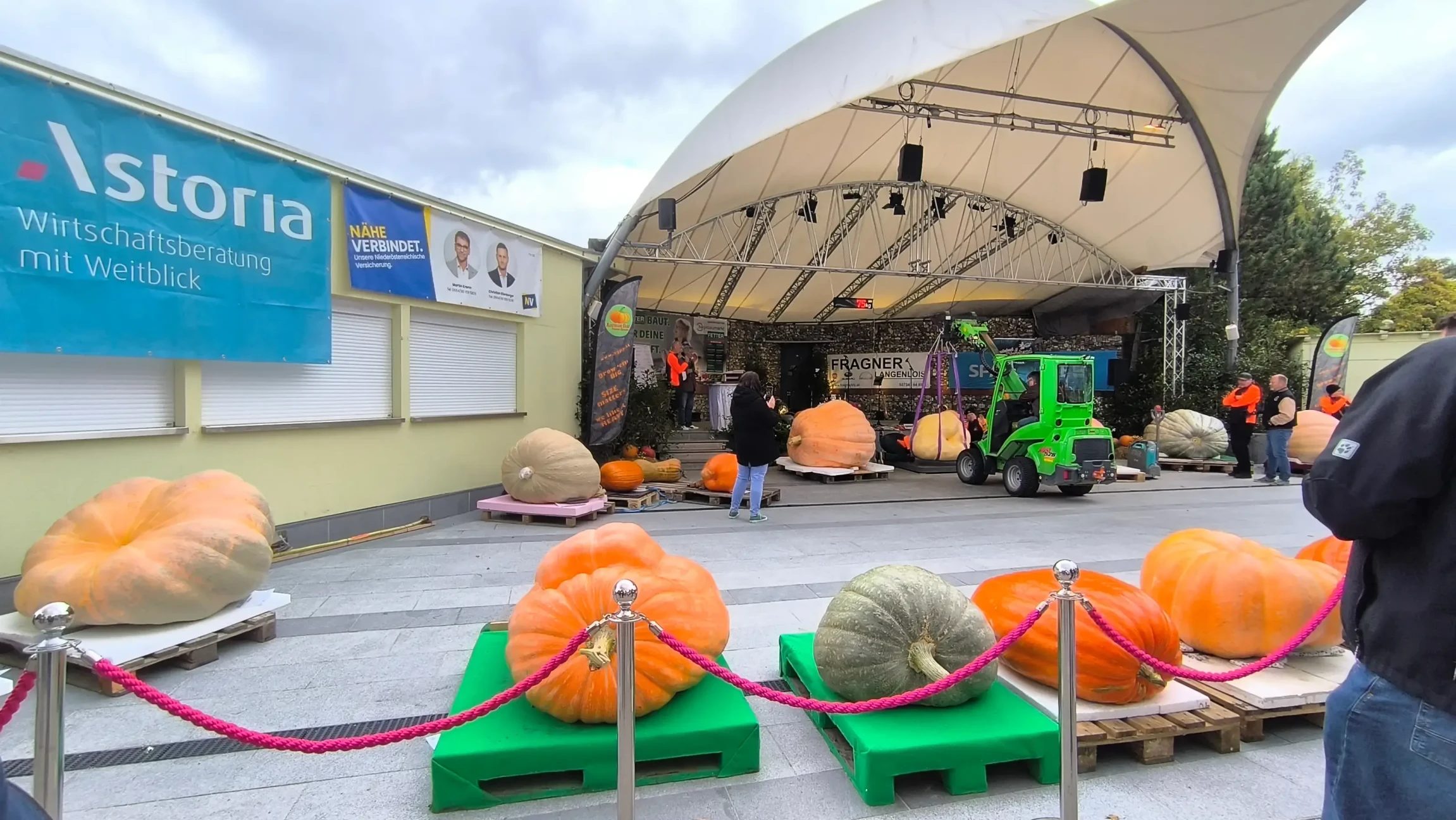 Verschiedene Riesenkürbisse vor der Festbühne in den Kittenberger Erlebnisgärten.