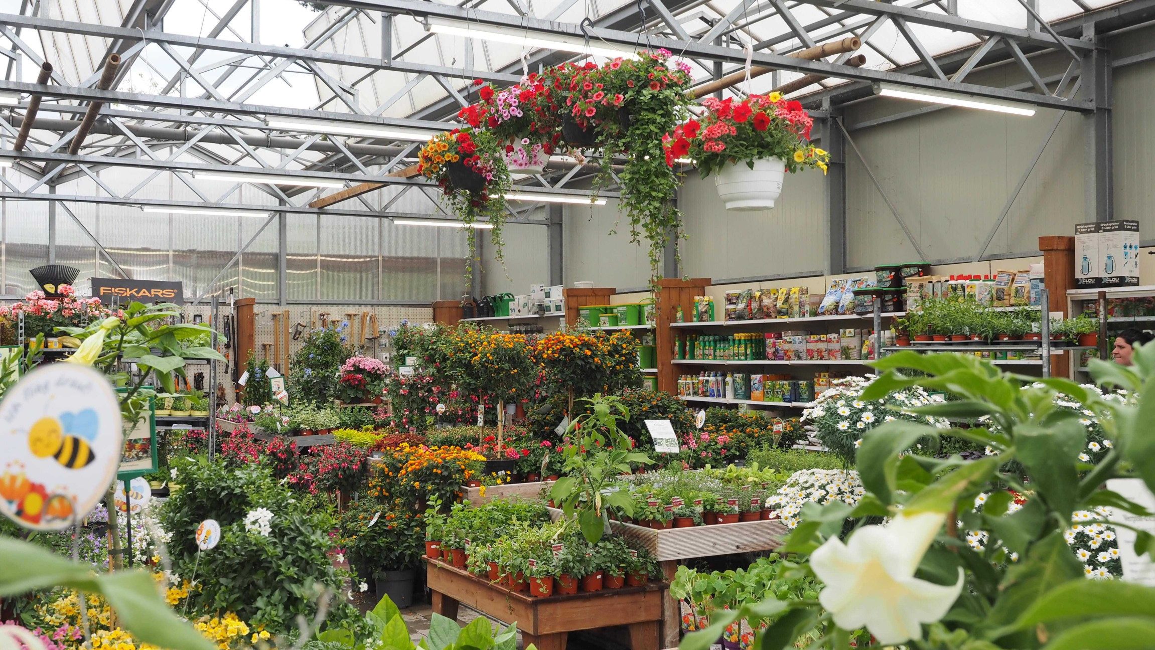 Blumen und andere Pflanzen im Gewächshaus der Kittenberger Erlebnisgärten.