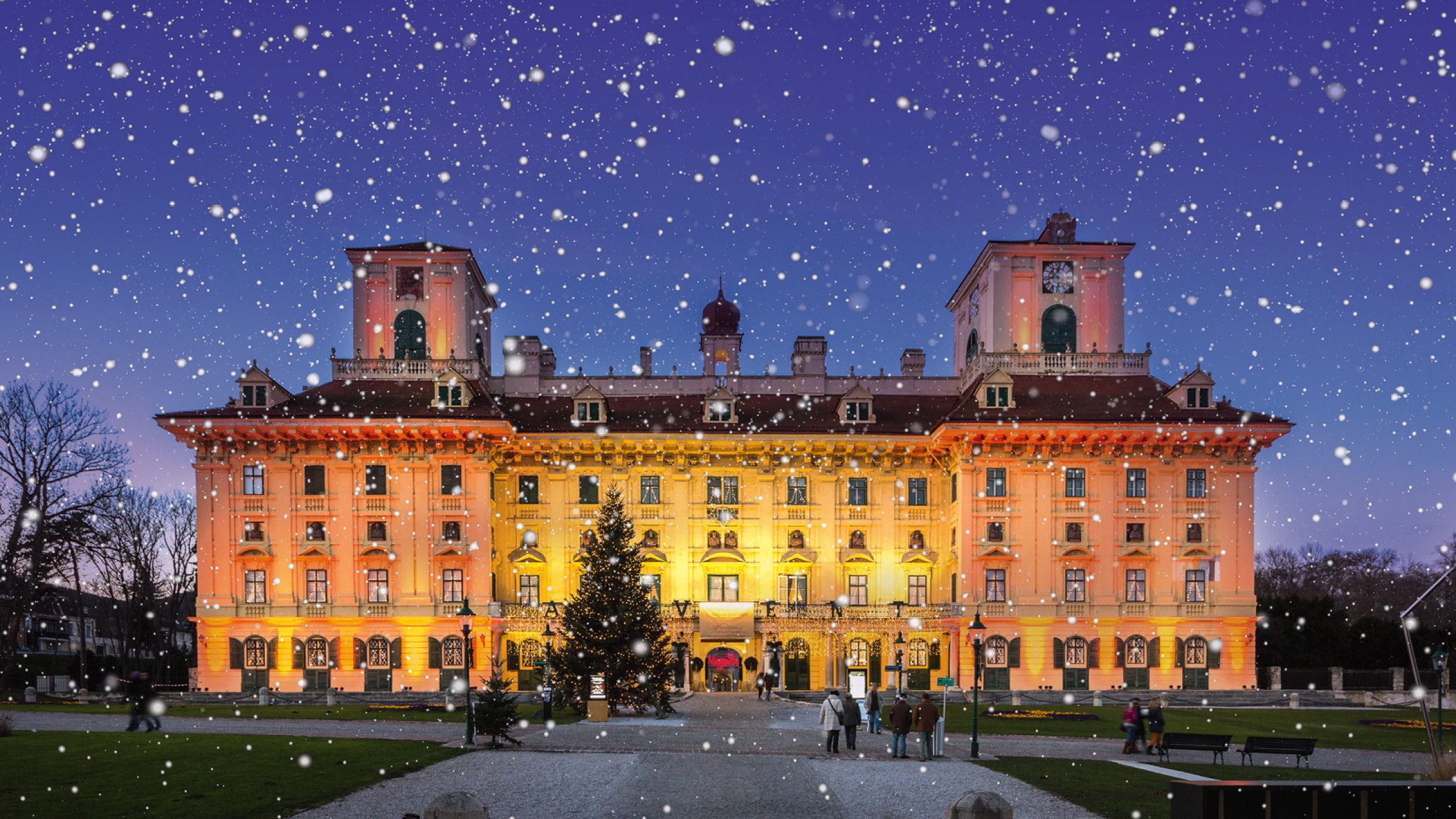 Blick auf das Schloss Esterhazy vor dem Schneeflocken fallen und ein Tannenbaum steht.