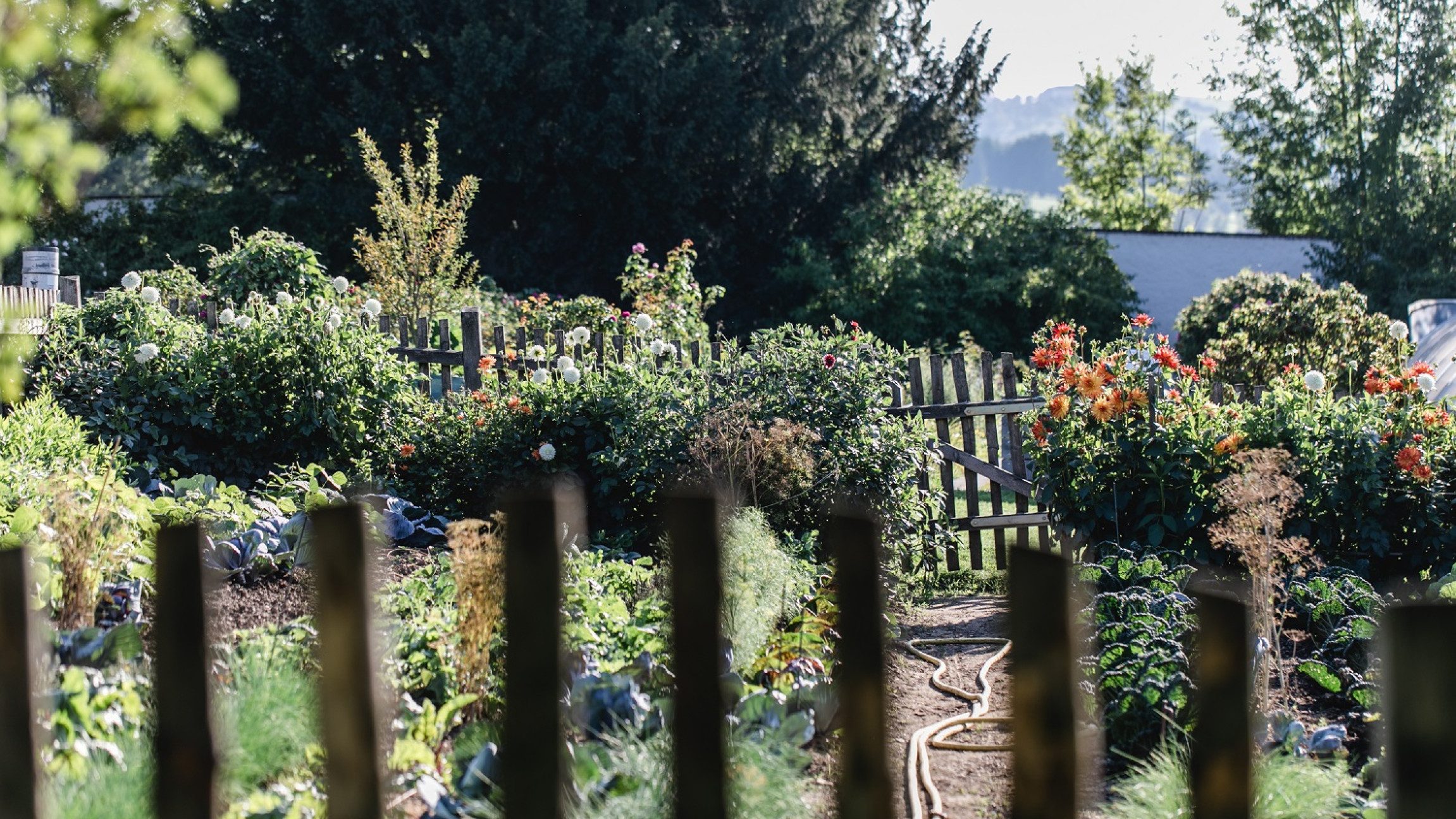 Blick durch einen Gartenzaun auf einen Garten.