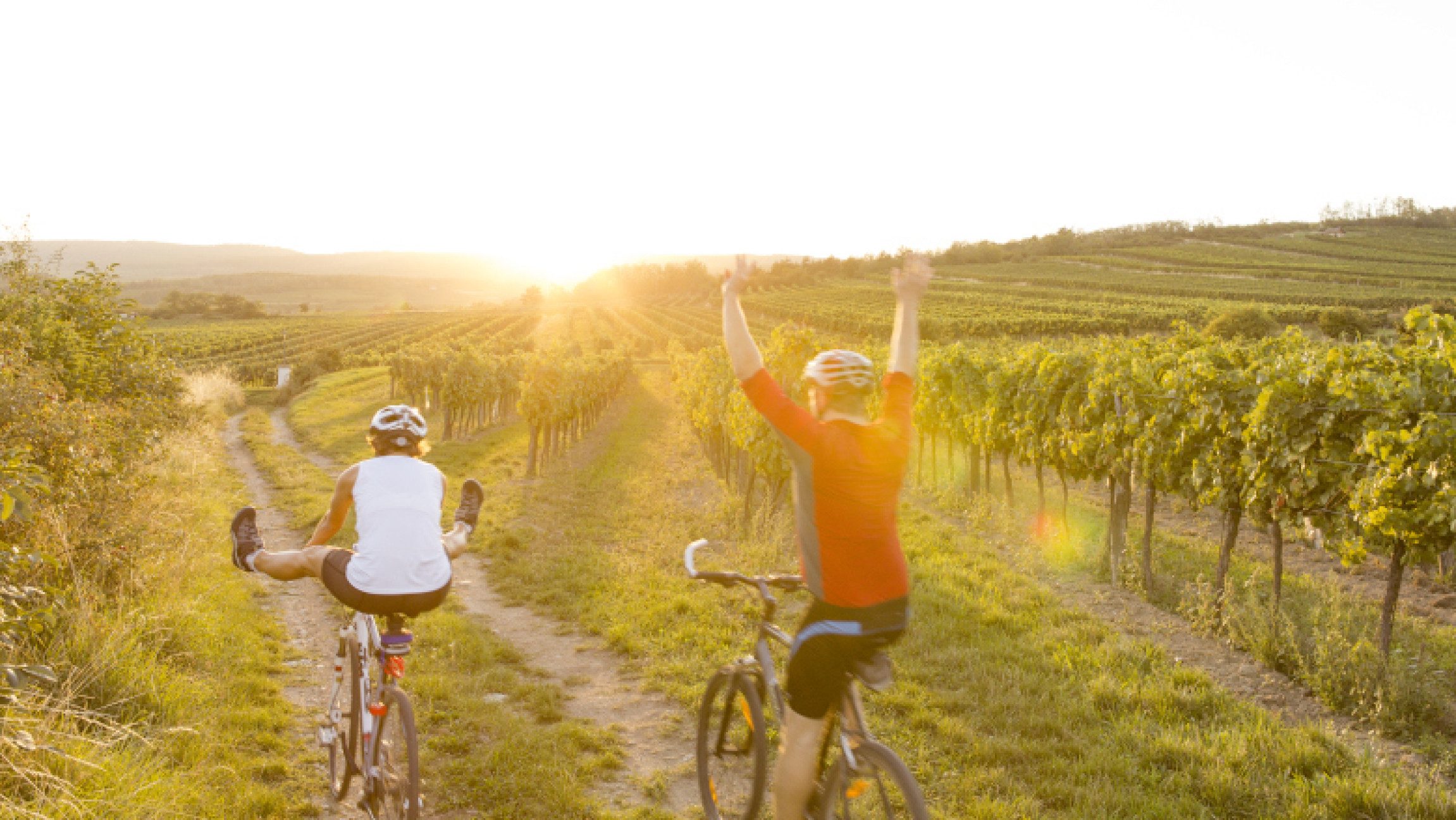 Radfahrer:innen auf einem Radweg zwischen Weinreben