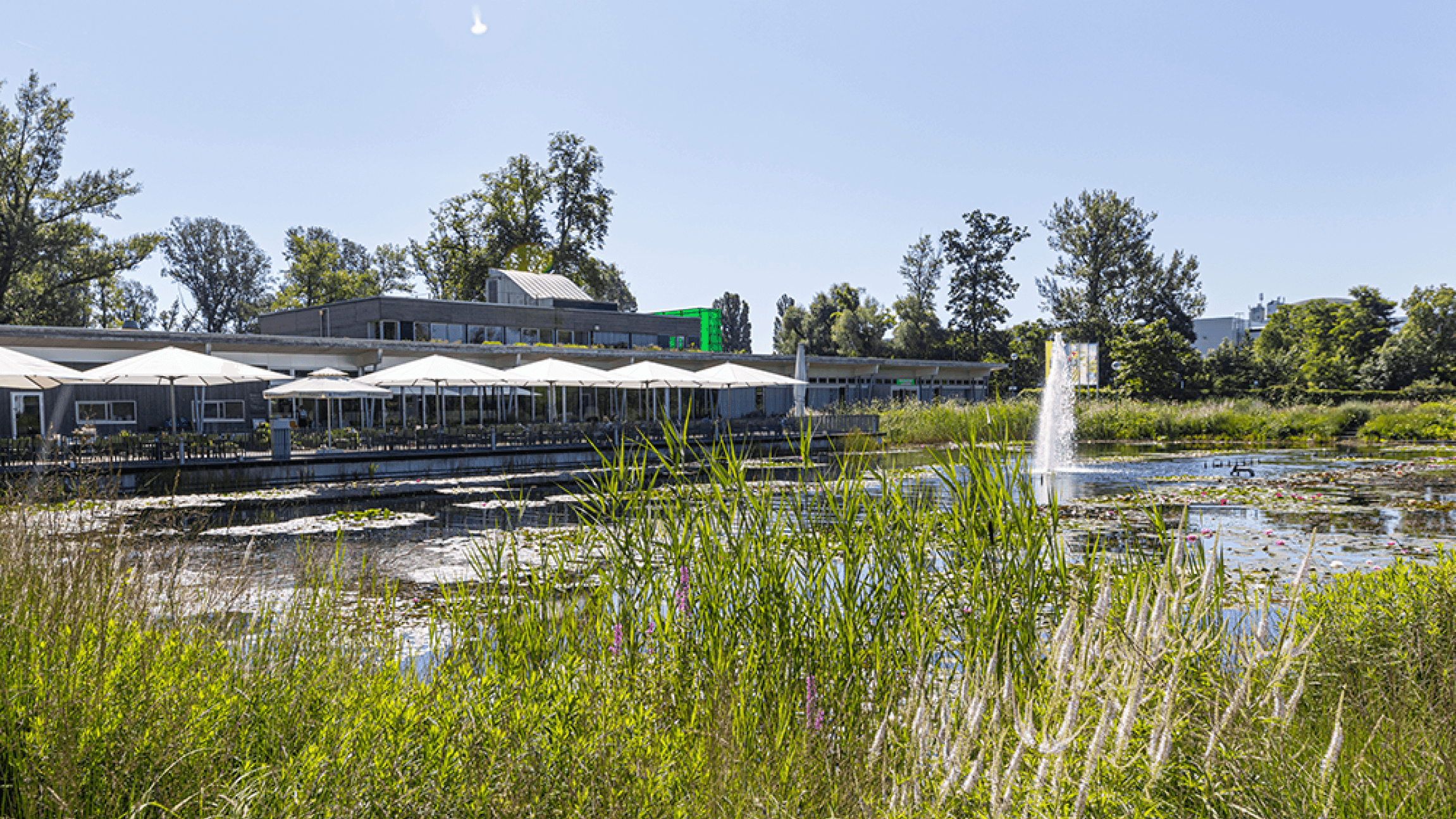 Gärten, Teich und das Restaurant in der Garten Tulln