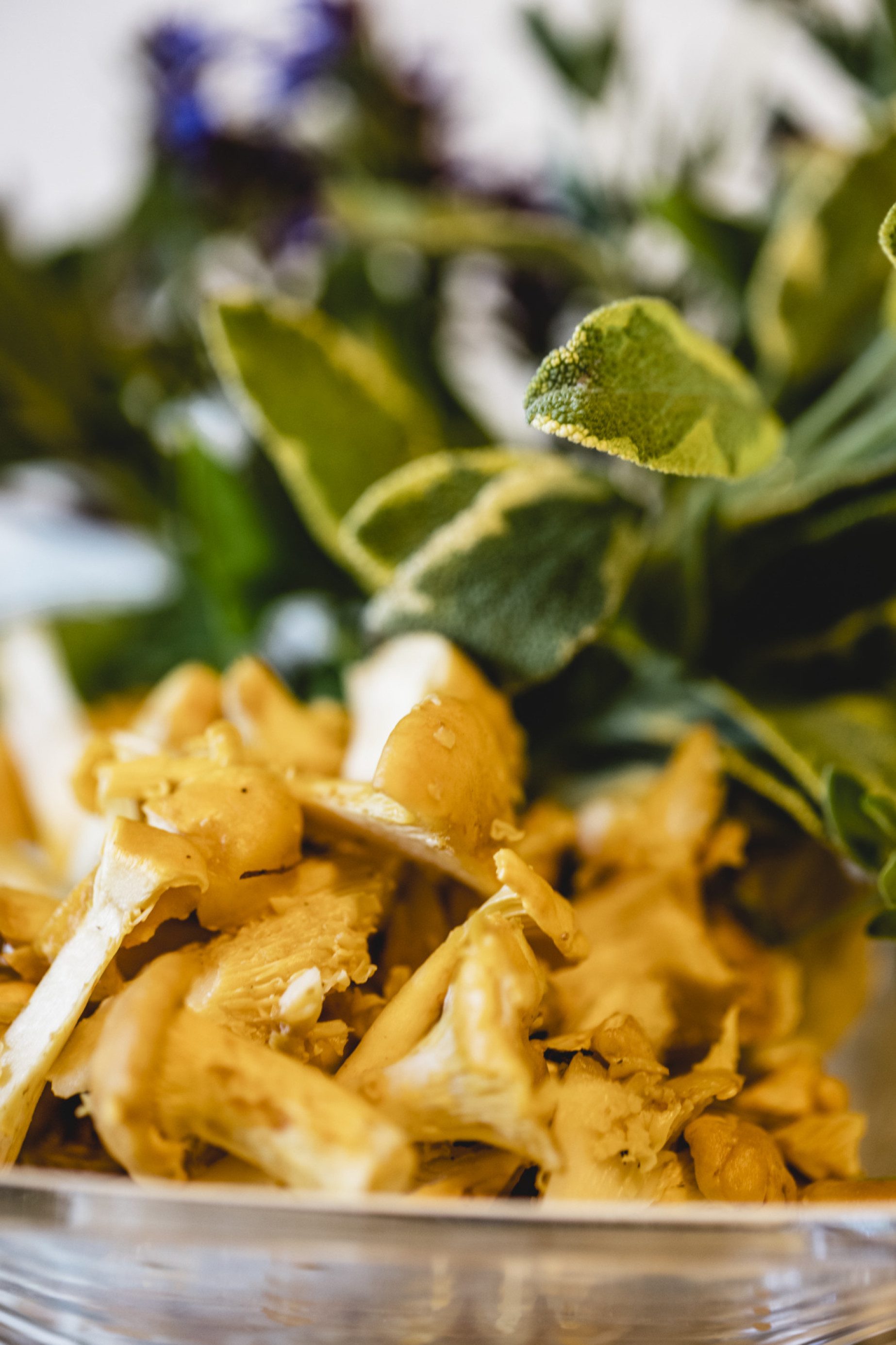 Saisonale Frischeküche