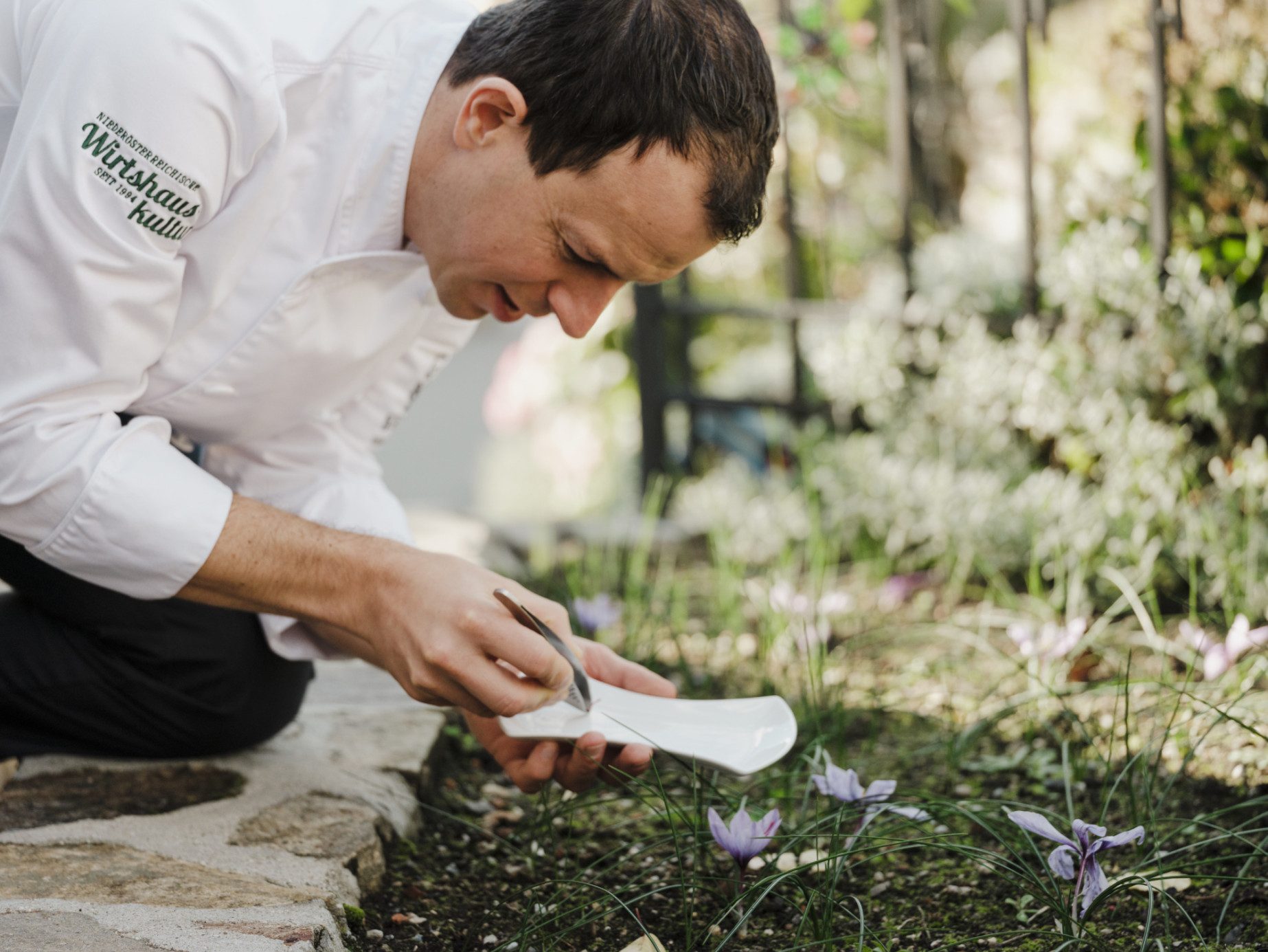 Wirt Roman Siebenhandl