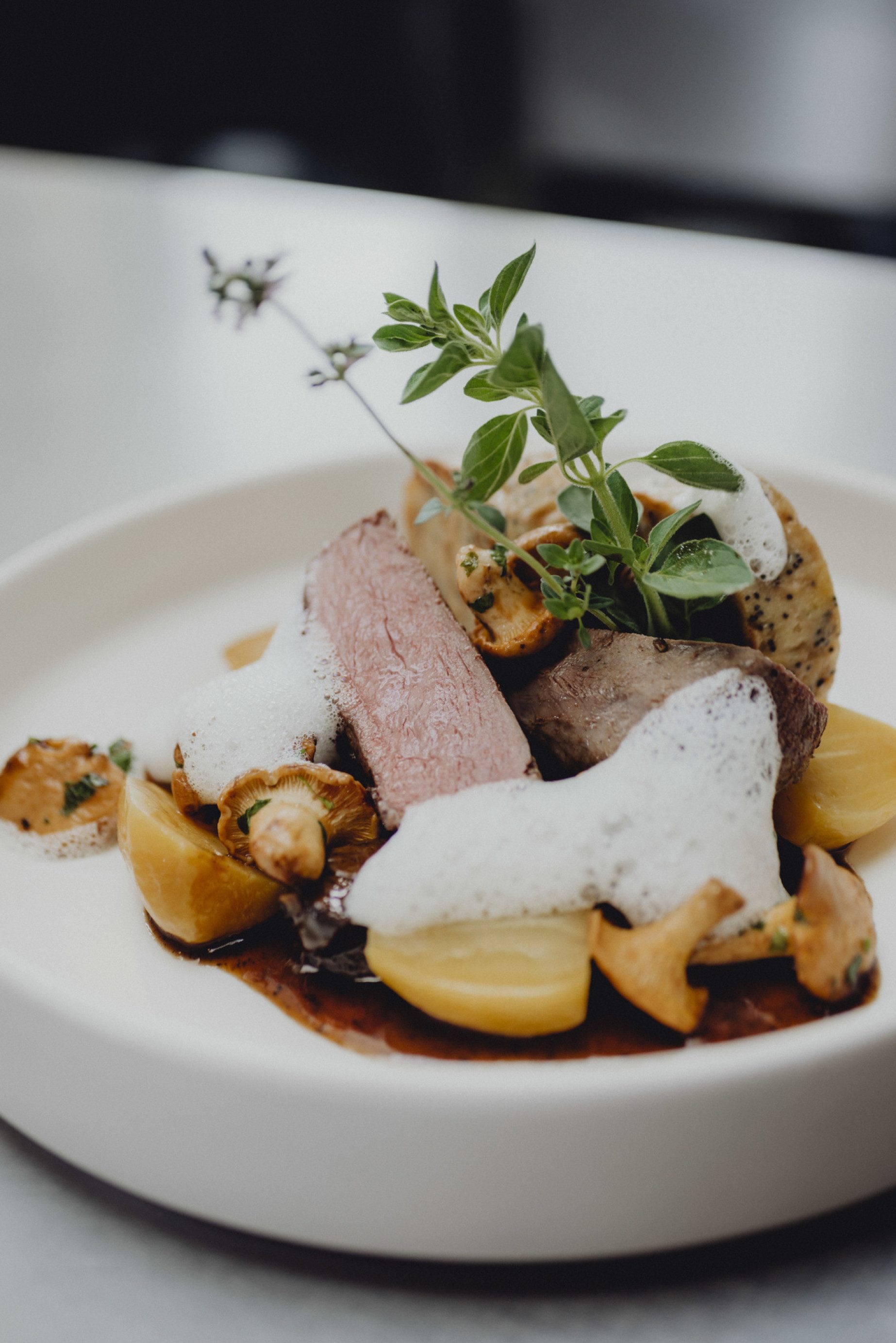 Zweierlei vom Saßwald Reh, Mohn-Serviettenknödel