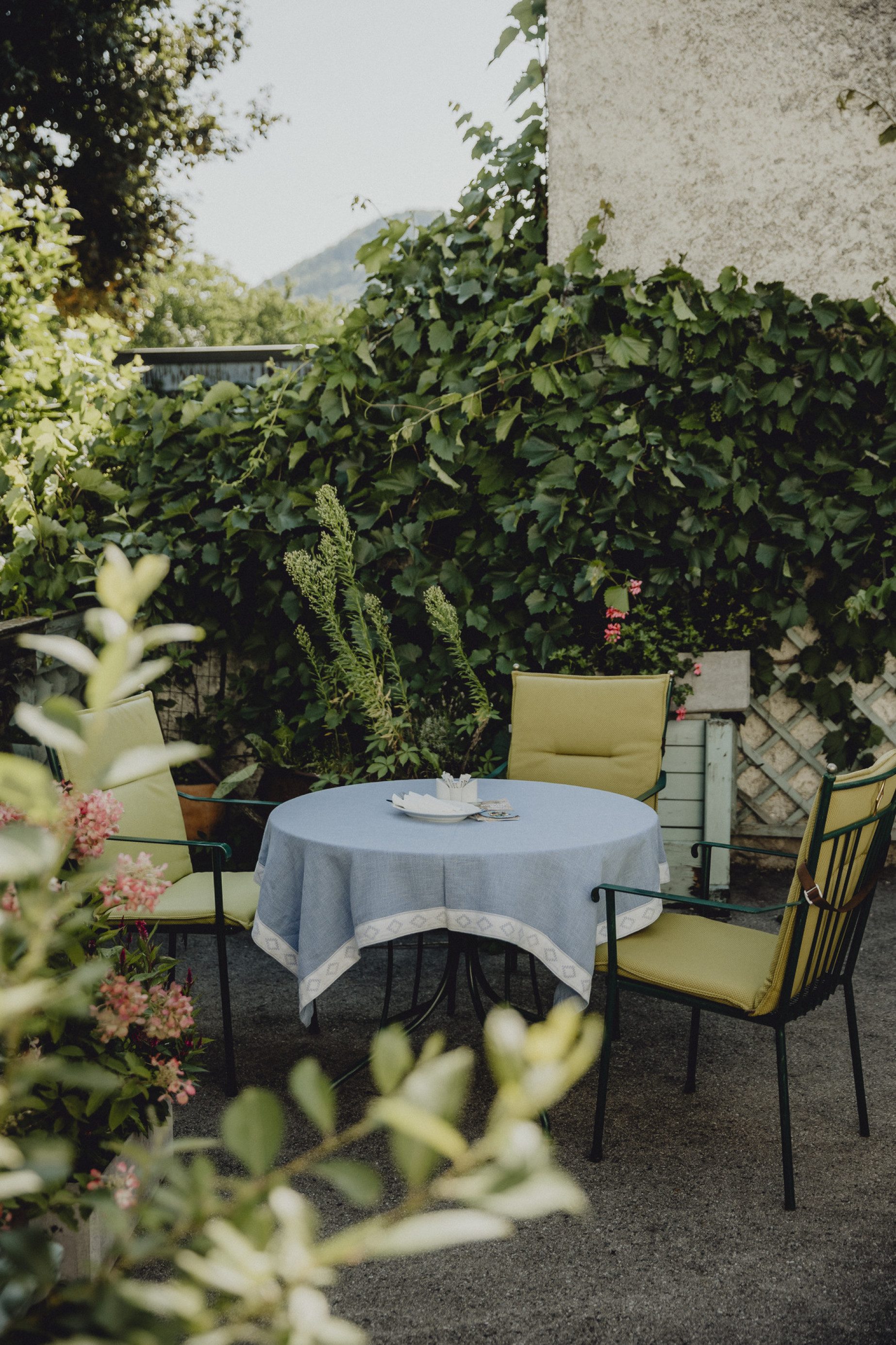 Grüne Wohlfühloase