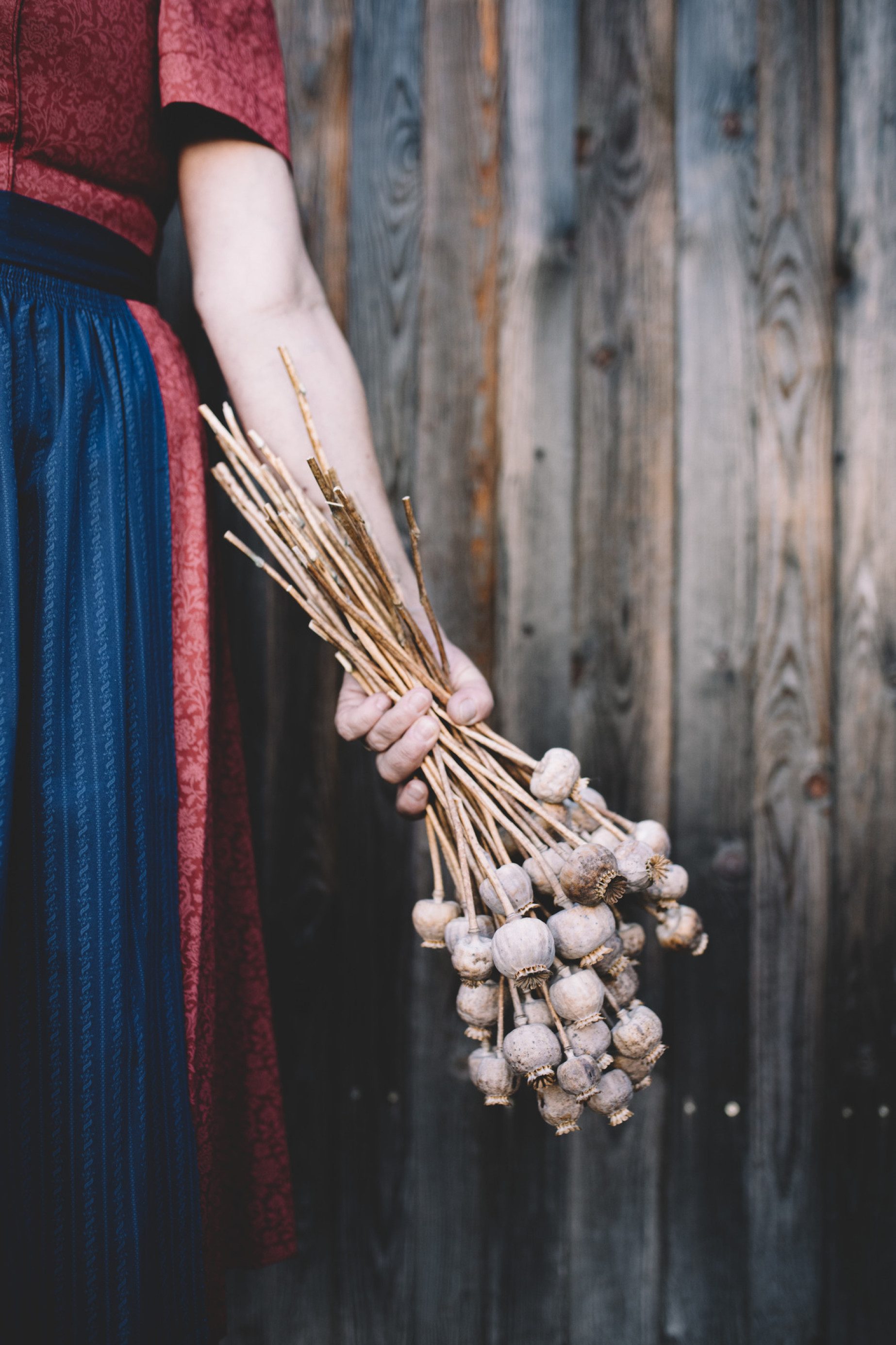 Seit über 30 Jahren dem Gaurmohn verschrieben