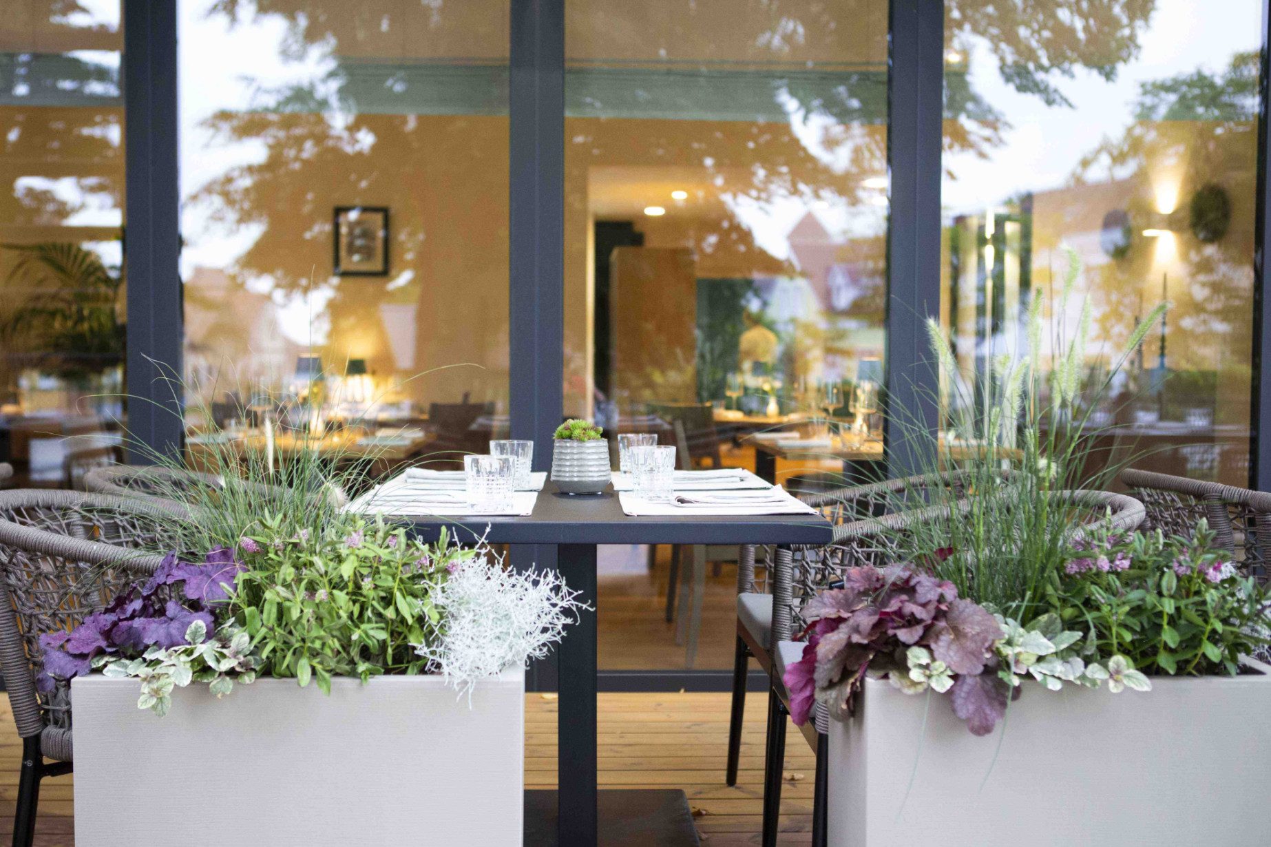 Blick in den Wintergarten