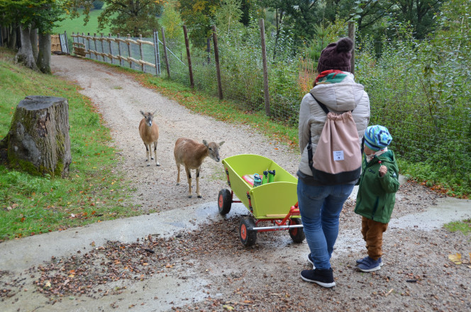 Frau mit Leiterwagen und Kind, dahinter zwei Ziegen