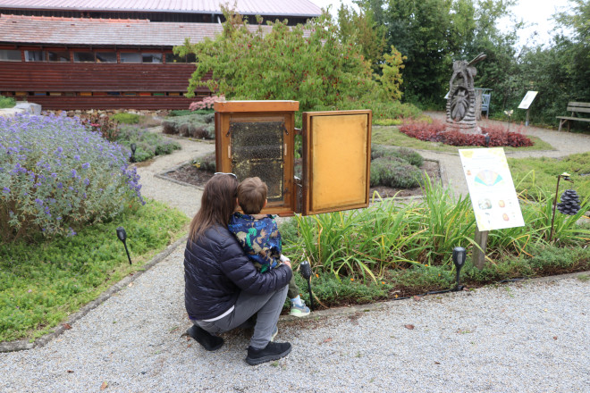 Mutter und Sohn in einem Garten, die vor einem Schau-Bienenstock knien und die Bienen beobachten