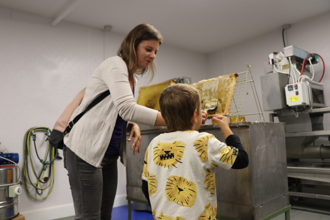 Mutter und Sohn die aus einer Bienenwabe selbst Honig ernten