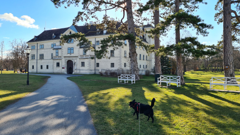 Historisches Gebäude in mitten des Schlosspark Laxenburg mit Hund im Vordergrund