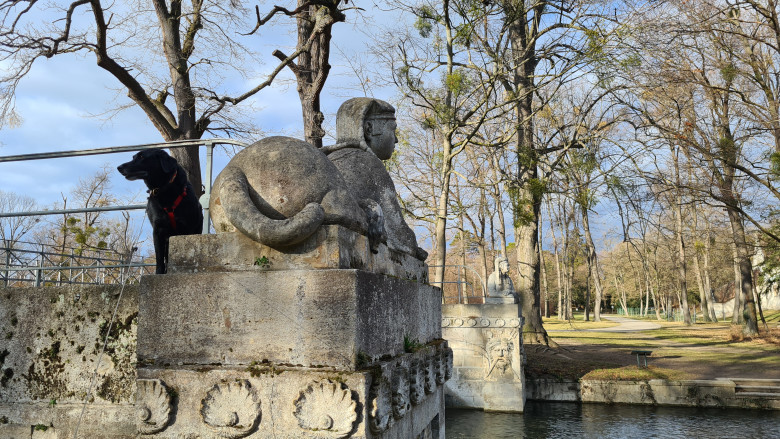 Hund der die Aussicht auf den Schlosspark genießt
