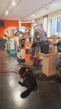 Hund liegt vor Maschinen