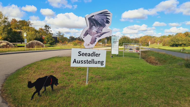 Hund auf Grasfläche, daneben Schild mit Adler und Schriftzug