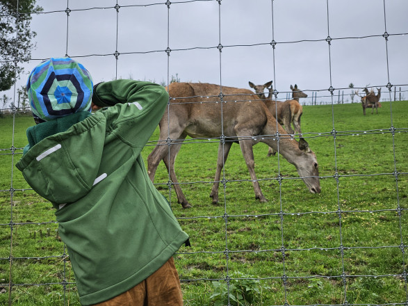 Kind von hinten vor Rehgehege