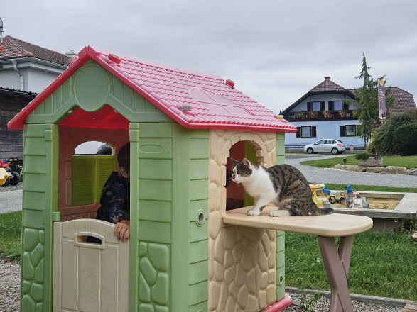 ein Kinderspielhaus in grün in dem ein junger Bub spielt und eine Katze sitzt daneben