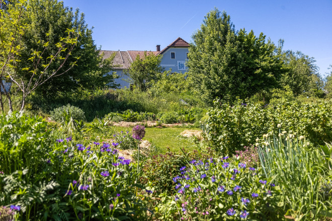 Blühender Kräutergarten mit vielfältigen Pflanzen vor dem SONNENTOR Freihof. Das weitläufige Gartenareal lädt zum Entdecken heimischer Kräuter und Gewürzpflanzen ein.