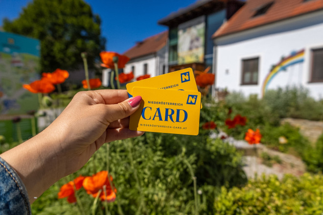 Zwei Niederösterreich-CARDs werden vor dem SONNENTOR Erlebnis in Sprögnitz präsentiert. Umgeben von blühenden Mohnblumen und Kräutergarten zeigt das Bild das Besucherzentrum an einem sonnigen Tag.