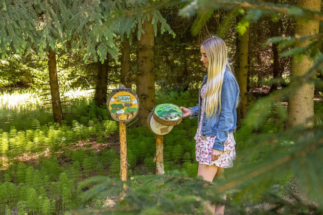 Eine Besucherin erkundet eine interaktive Station des Waldreich-Erlebniswegs im SONNENTOR Erlebnis. Umgeben von Bäumen und Farnen vermittelt die Station Wissenswertes über den Wald und seine Bewohner.