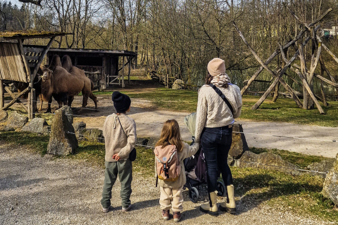 Familie vor Kamel - Gehege