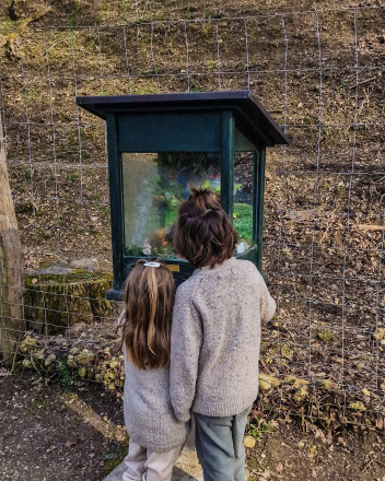 Kinder vor Vitrine mit Vogel