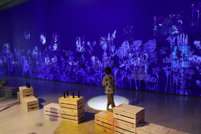 kleiner Junge der mit einer Taschenlampe vor einer Wand steht au die Pflanzen in blauen Licht projiziert sind