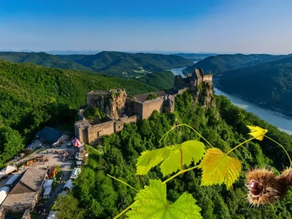 Die Burgruine umgeben vom herbstlichen Laub.
