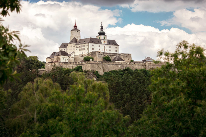 Blick auf die Burg Forchtenstein durch grüne Bäume.
