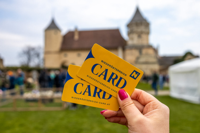 Scharf im Vordergrund zwei NÖ-CARDs von einer weiblichen Hand gehalten, im Hintergrund ist unscharf die Rosenburg zu sehen
