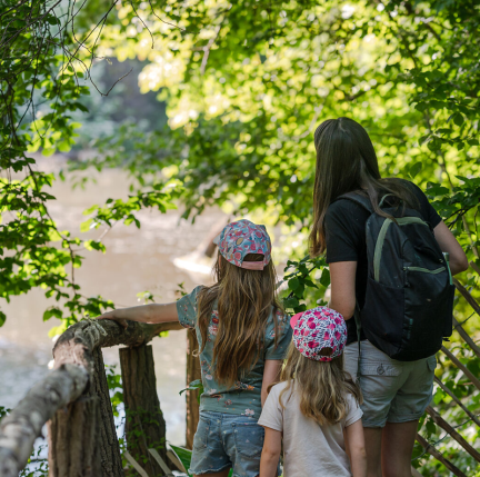 Eine Familie wandert durch den Nationalpark