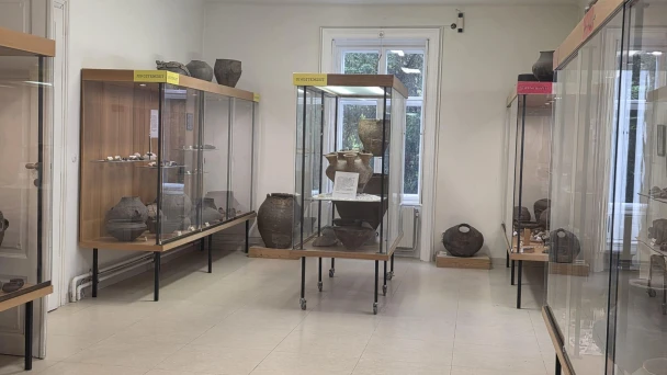 Ausstellungsraum mit Glasvitrinen zur Jungsteinzeit.