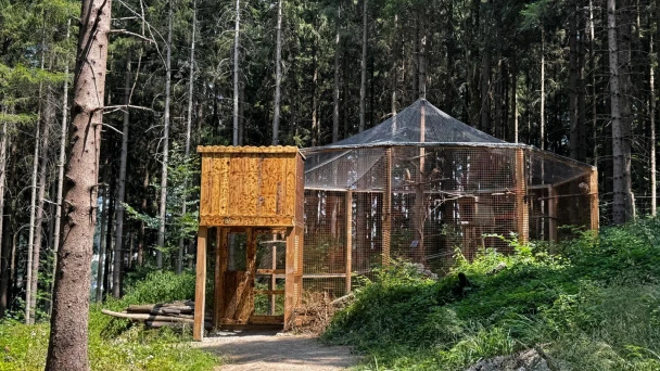 Eine Vogelvoliere zum Betreten im Tier- und Erlebnispark Buchenberg.