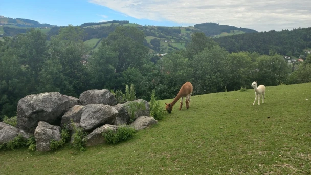 Header Image