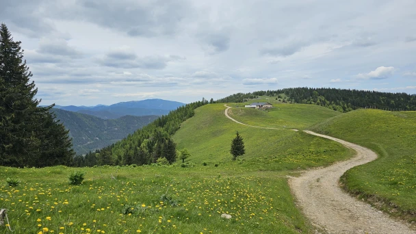 Fernblick über den Wanderweg und die Wiese am Schneeberg.