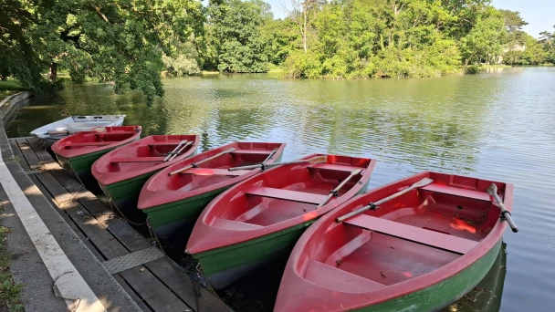 Bunter Ruderboote im Schlosspark Laxenburg.