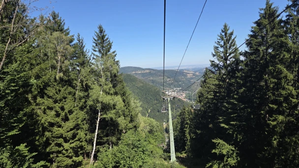 Blick vom Lift über den grünen Wald ins Tal.
