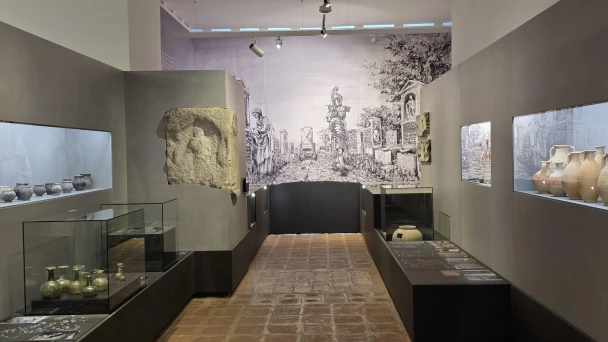 Blick in den Ausstellungsraum mit Vitrinen im Stadtmuseum Tulln.