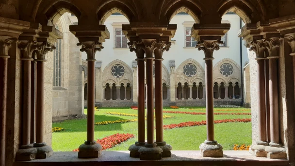 Header Image