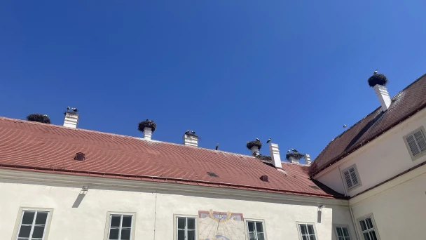Störche brüten auf den Schornsteinen von Schloss Marchegg.